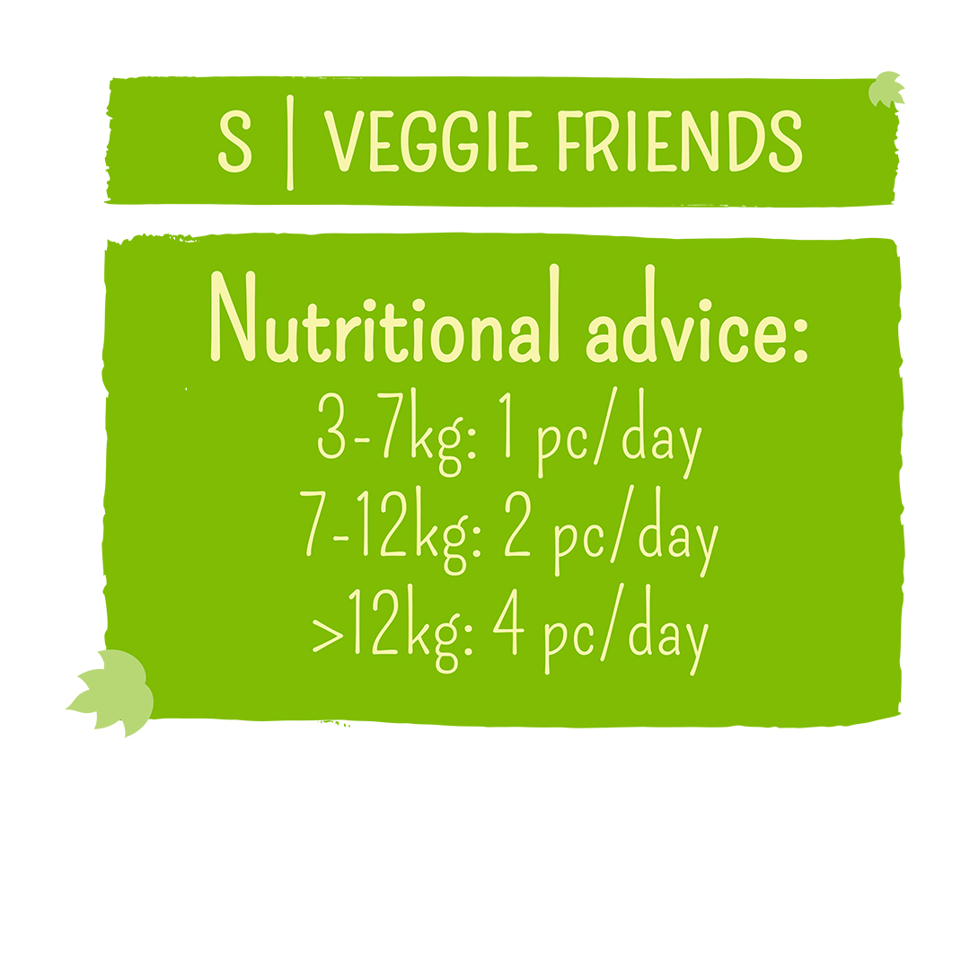 veggie friends 5