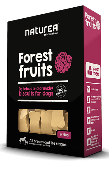 Forest-Fruits1