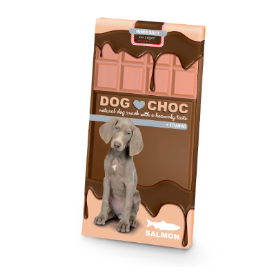dog choc saumon