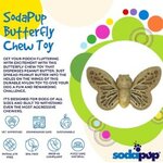 papillon sodapup