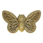 papillon sodapup