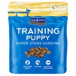 training puppy