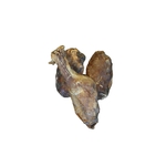 testicules boeuf