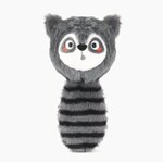 balle racoon2