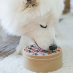 bento2