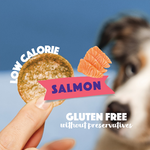 S7001_Dog-Chips_Salmon_EN_02