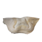 nez de boeuf soufflé