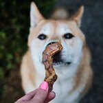 cou de poulet