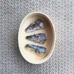 canumi sardine4