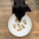 moules levres 3
