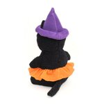 chat sorciere 2