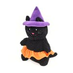 chat sorciere