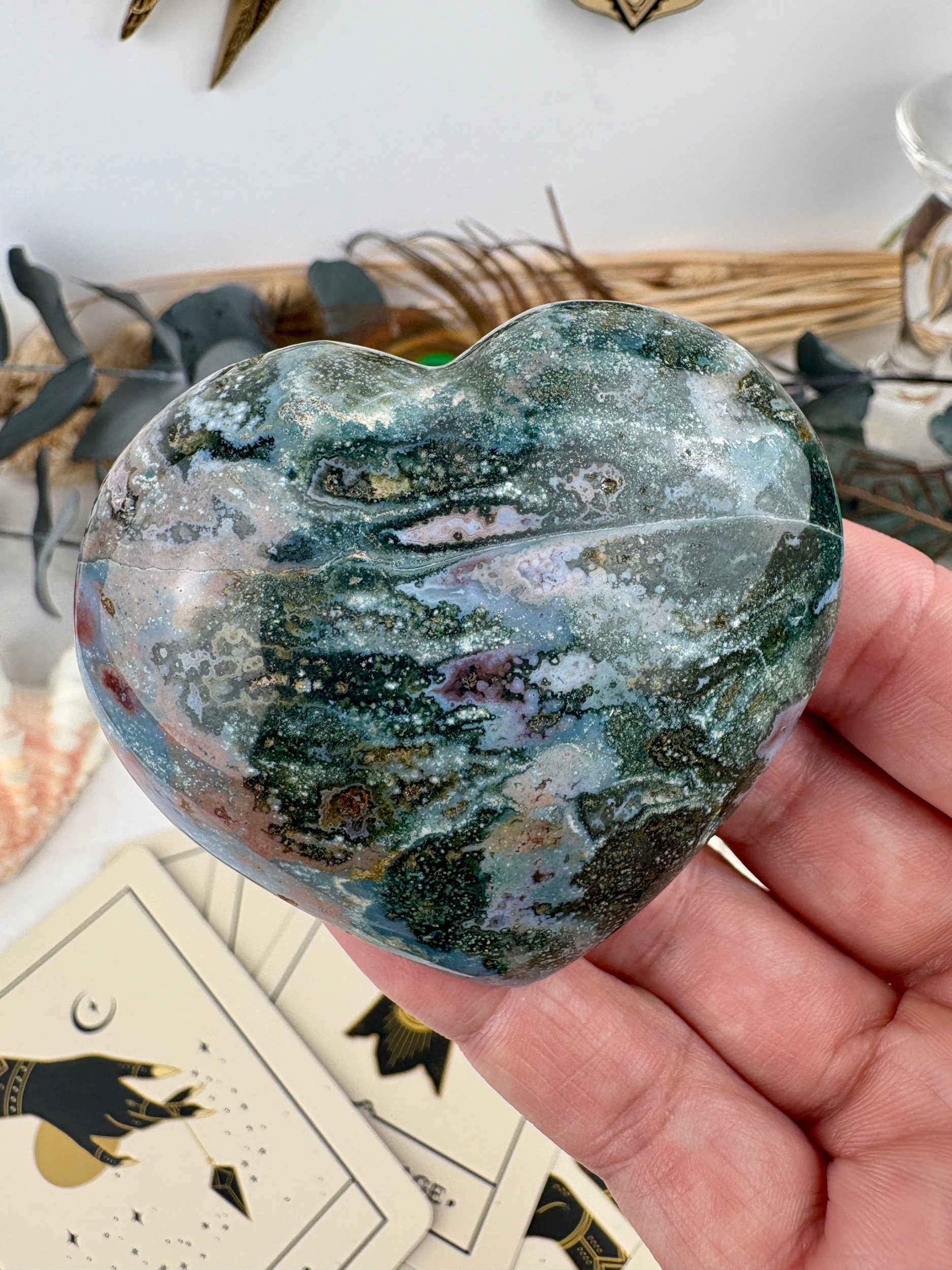 IMG_5494