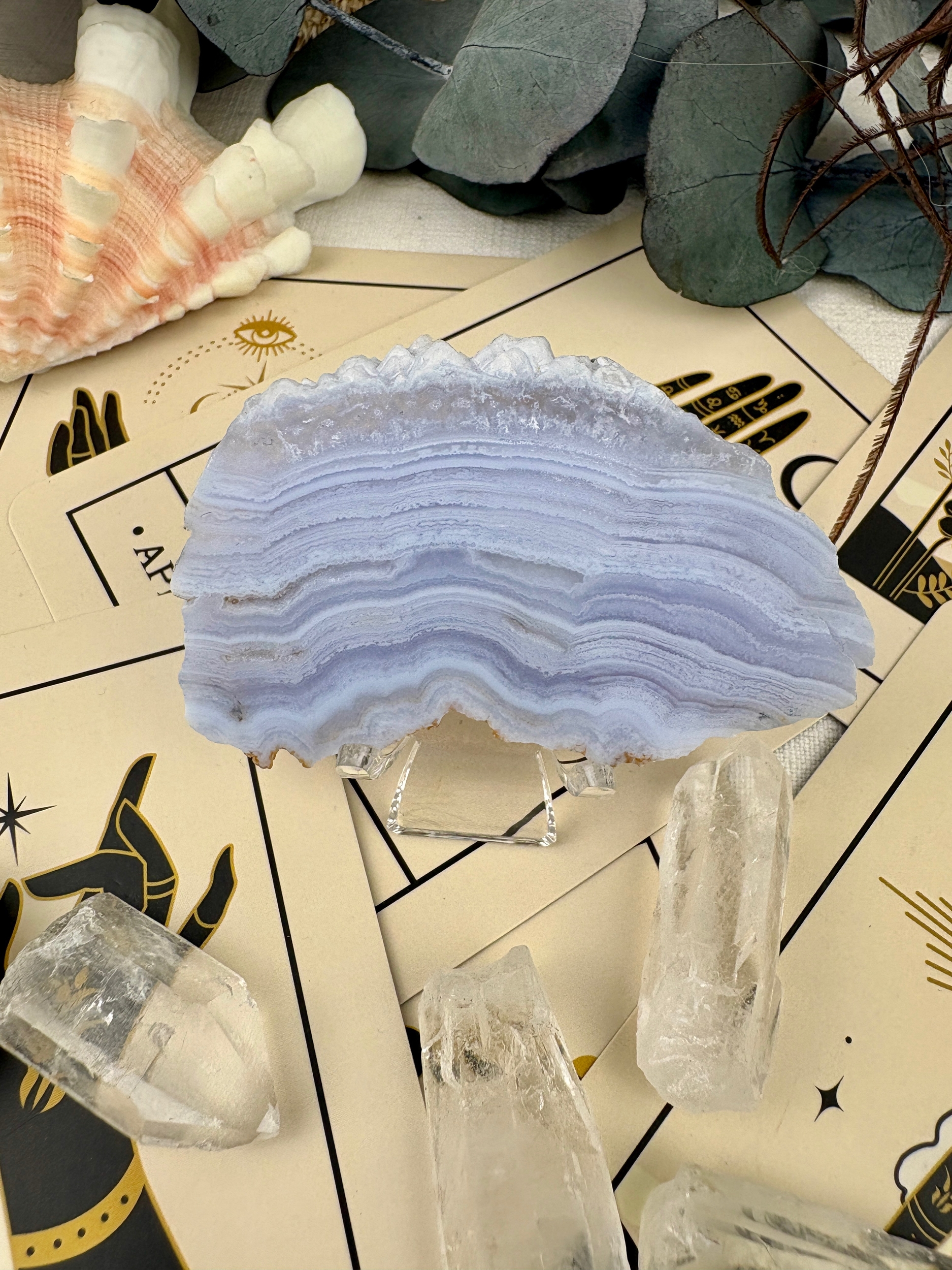 IMG_6831