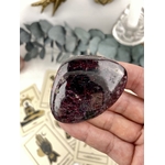 IMG_6113