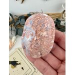 IMG_5487