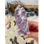 IMG_6388
