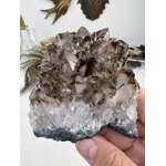 UNADJUSTEDNONRAW_thumb_da24