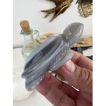 UNADJUSTEDNONRAW_thumb_daa7