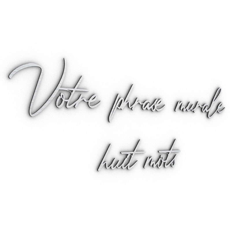 décoration-murale-métal-alu-brossé-phrase-citation-personnalisée-8-mots-typo-signature-profil