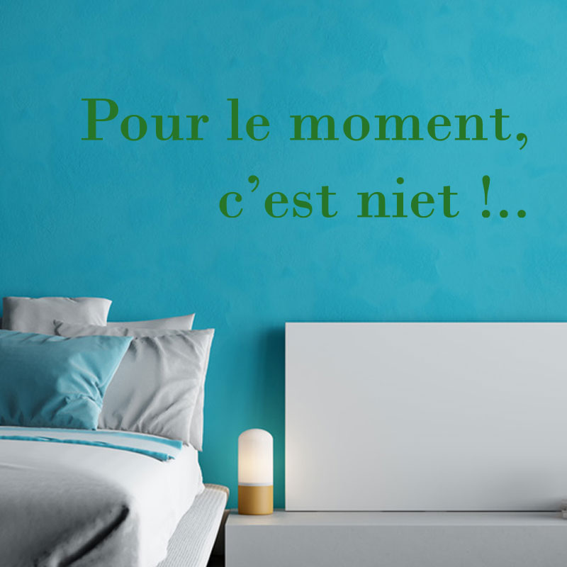 sticker-citation-c-est-niet-couleur-vert