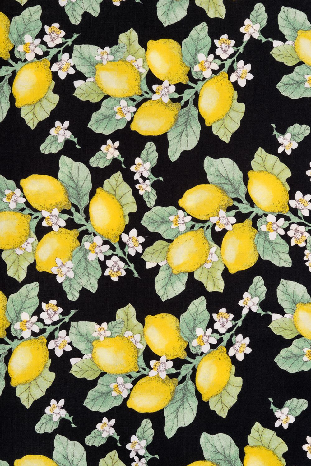 ps9065bbbb_bas-maillot-de-bain-bikini-rockabilly-pin-up-50-s-lemonade-citrons_3_1