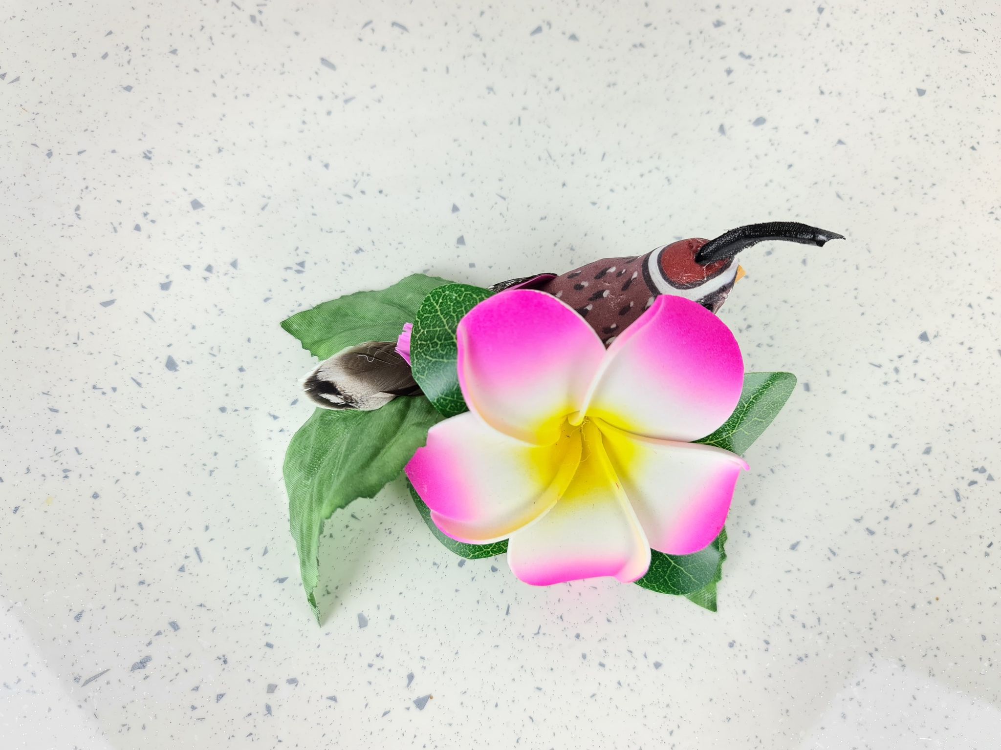 MNHAIR019bbbb_barrette-broche-fleur-pinup-boheme-tropical-oiseaux