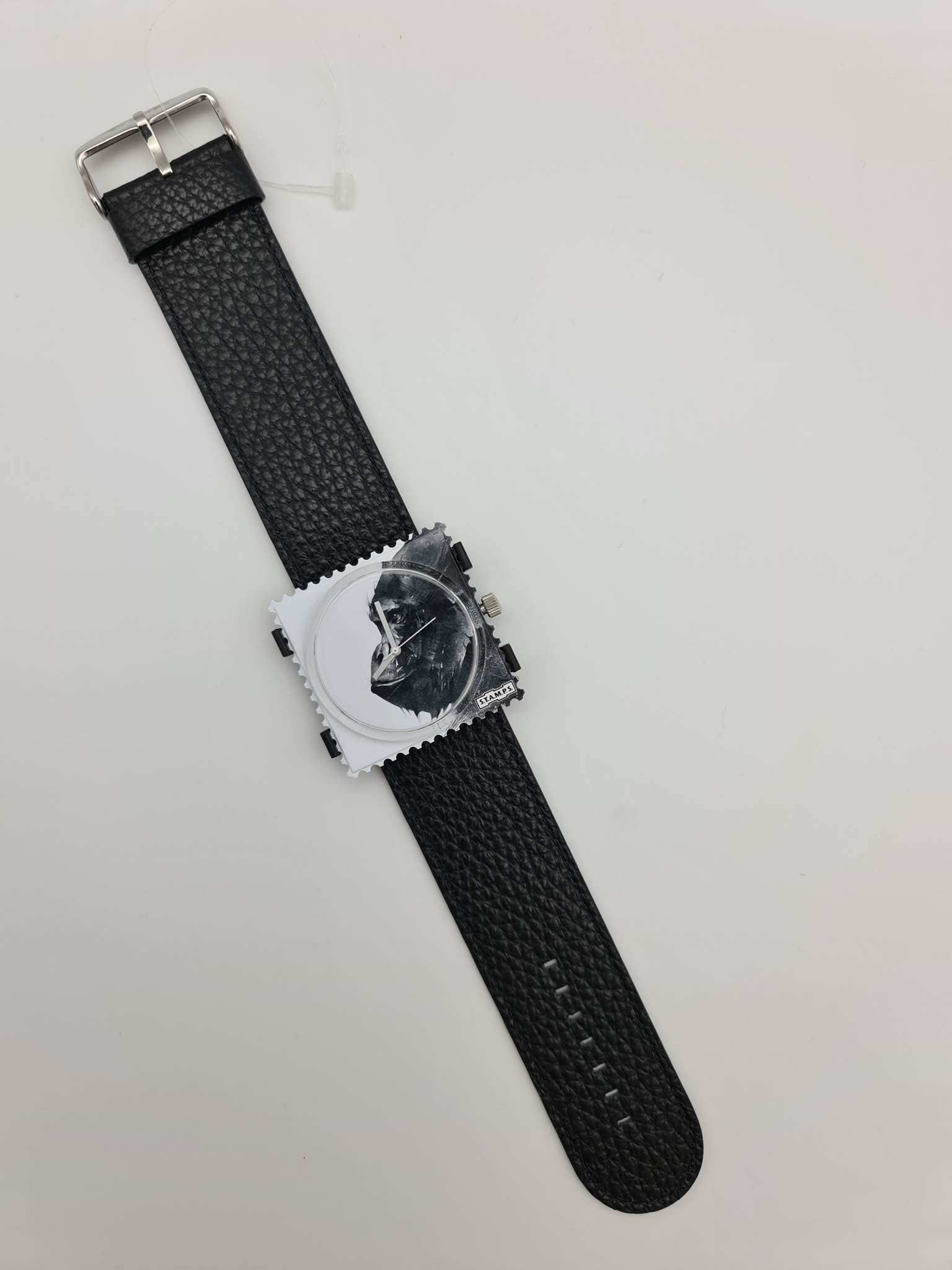 INT002-MON021b