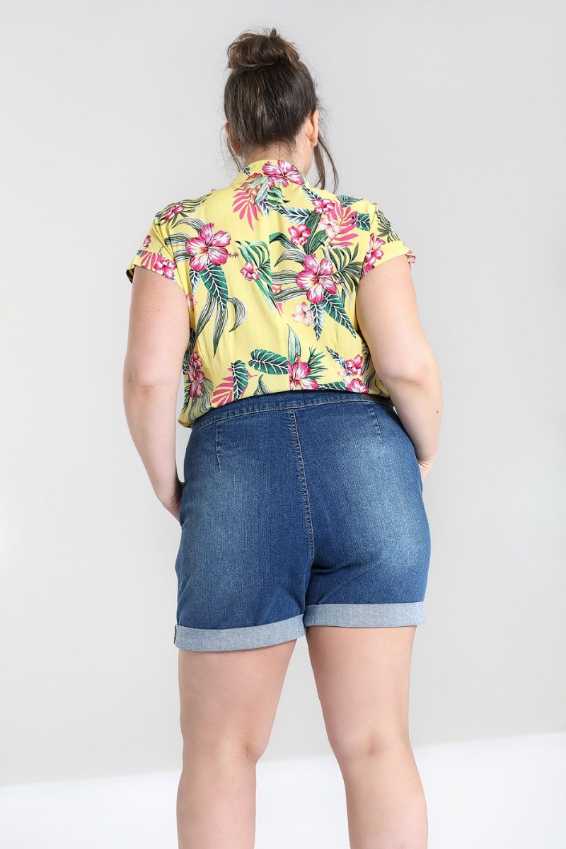 ps50055bbbbb_short-pinup-retro-50-s-rockabilly-nash