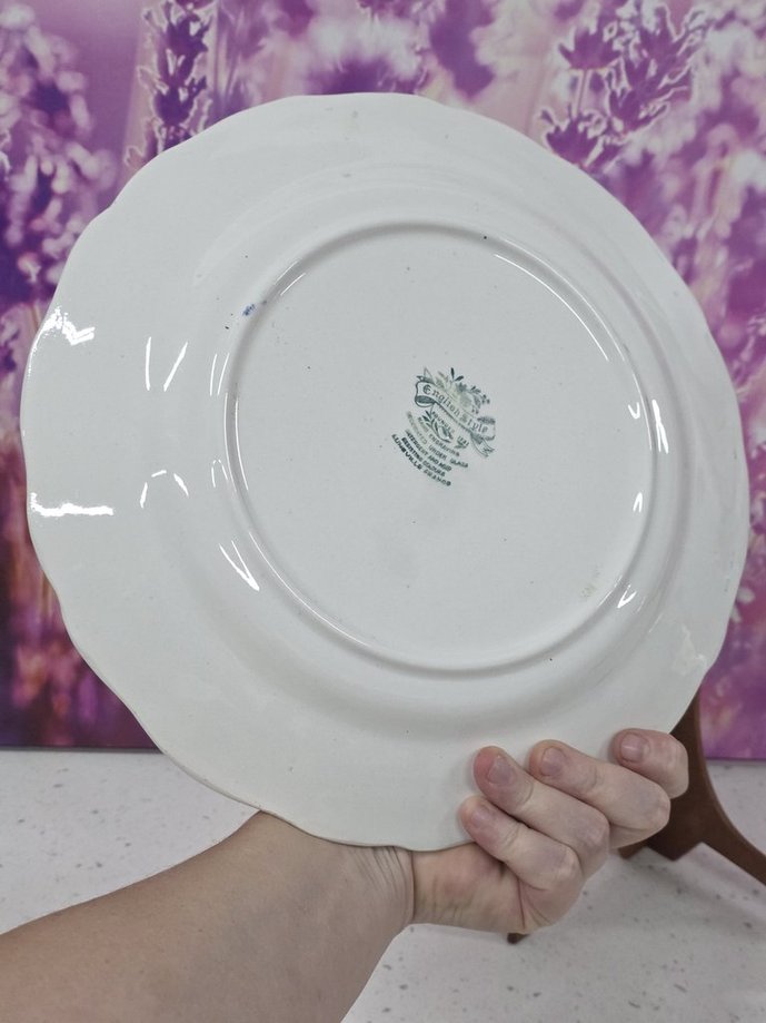 V3FhqPdGSaObWTS2SDHZ2A