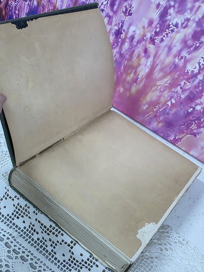 UdOiaR1pSDizoA1_YSO9CA