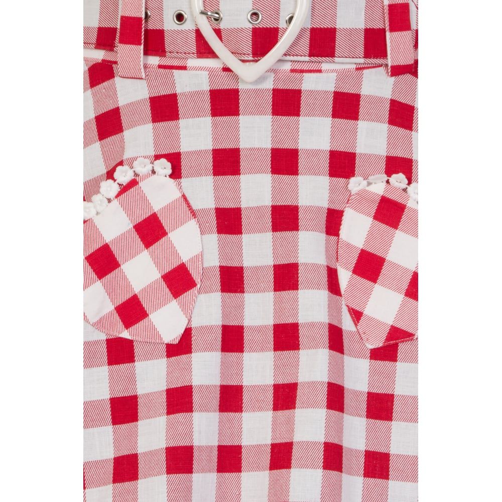 ccvioleghrbbbb_jupe-pin-up-rockabilly-50-s-retro-violetta-swing-vichy
