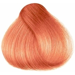 hp0219bb_coloration_cheveux_semi_permanente_rosie-gorl