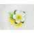 MNHAIR018_barrette-broche-fleur-pinup-boheme-tropical