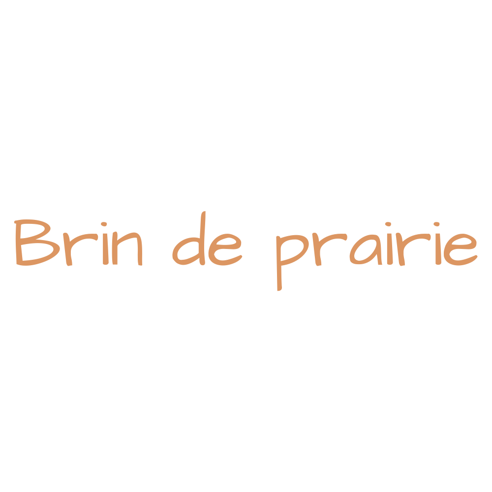 BRIN DE PRAIRIE