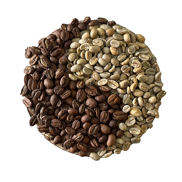 moka-ethiopie-la-cigale