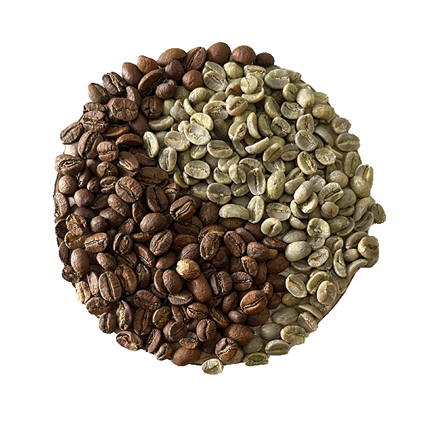 altura-mexique-la-cigale