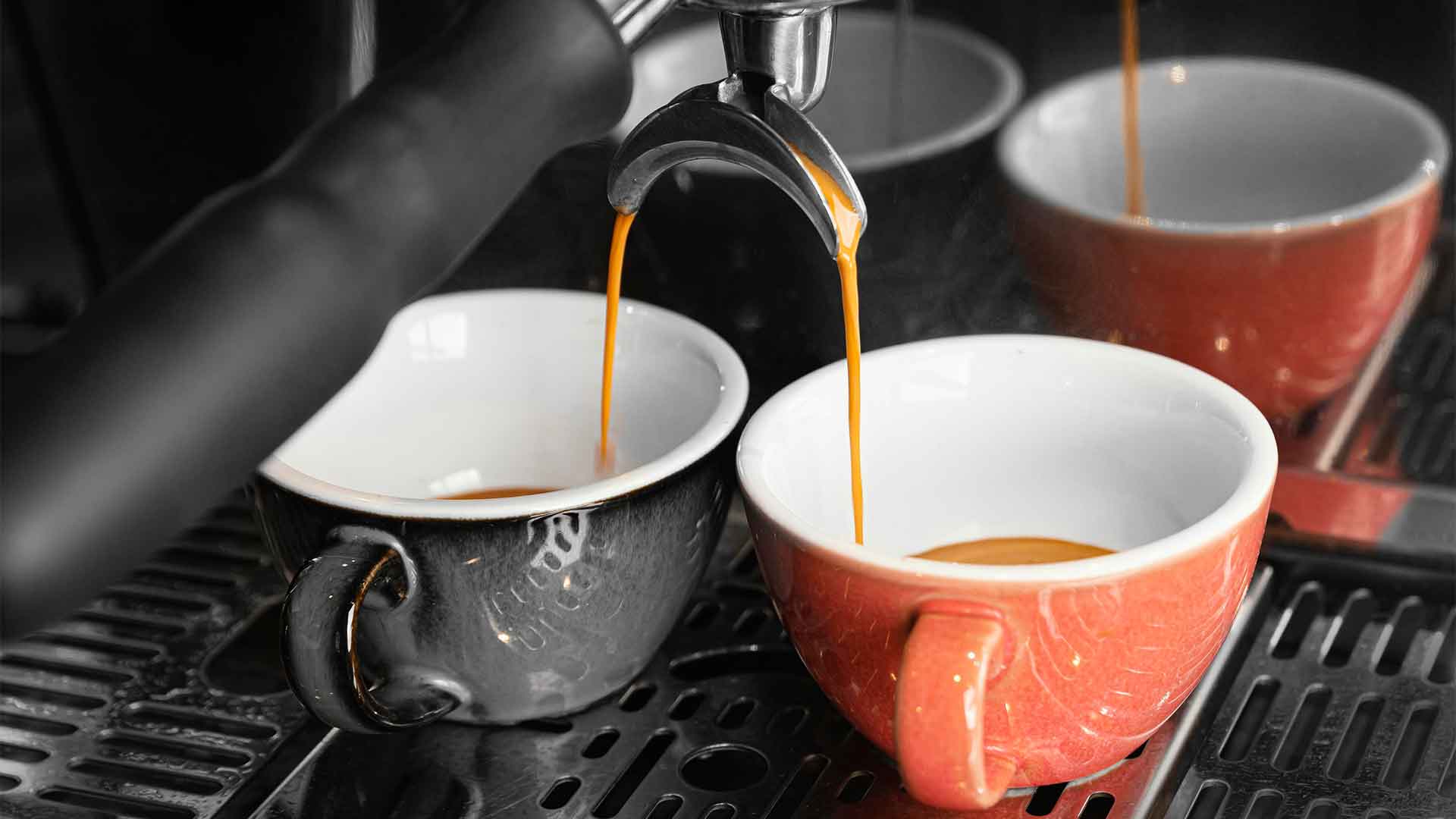 magine cafe perco
