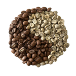 nicaragua-maragogype-la-cigale