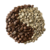 nicaragua-maragogype-la-cigale