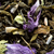 the-vert-parfume-abricot-lavande-dammann-freres