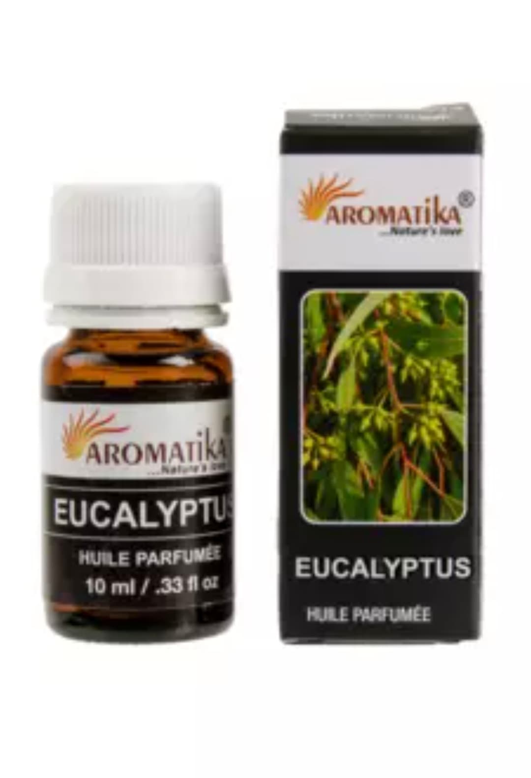 huile parfumée Eucalyptus