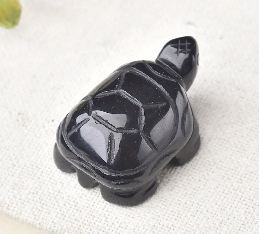 Tortue Obsidienne noire