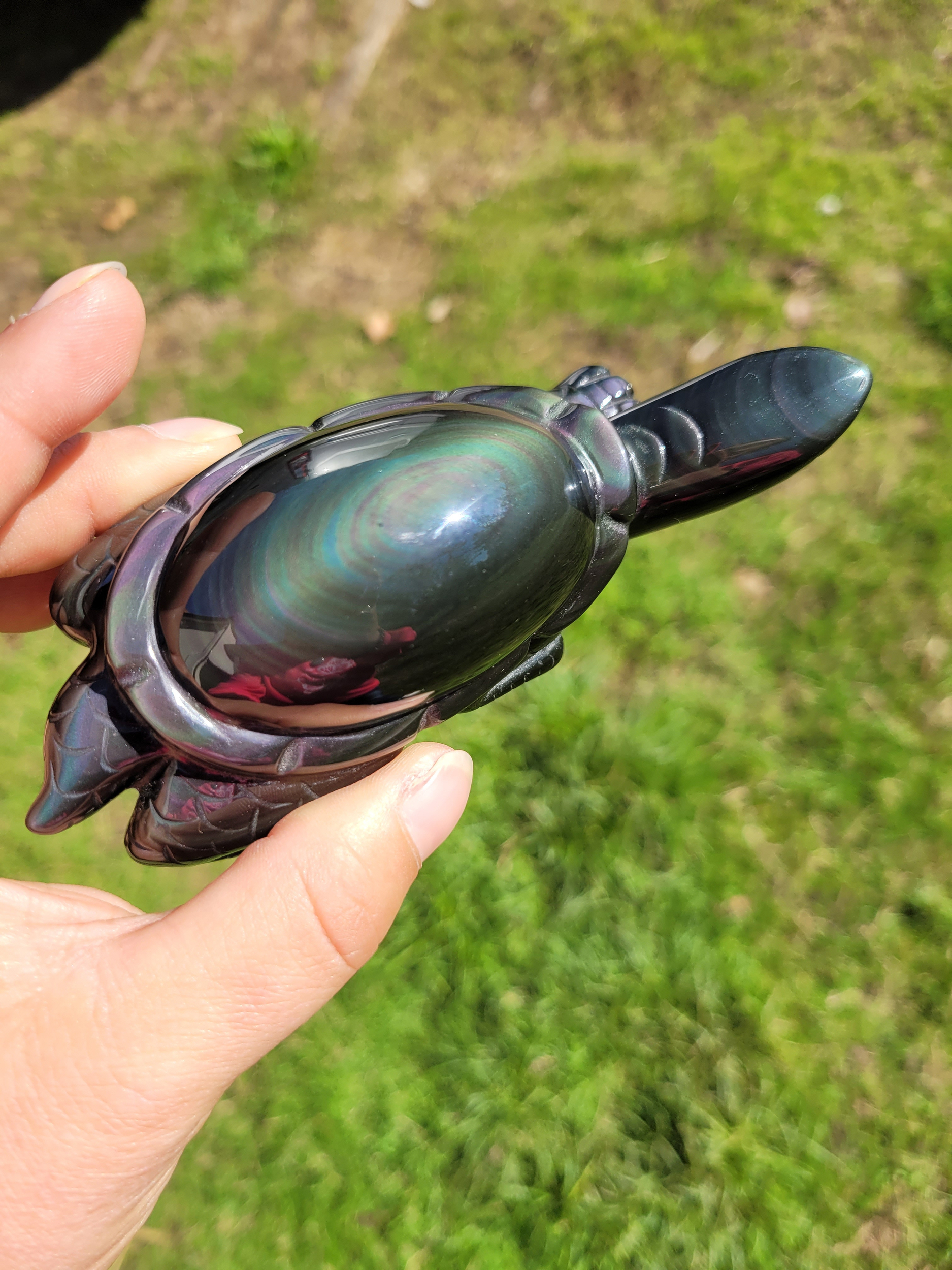Tortue en Obsidienne Œil Céleste