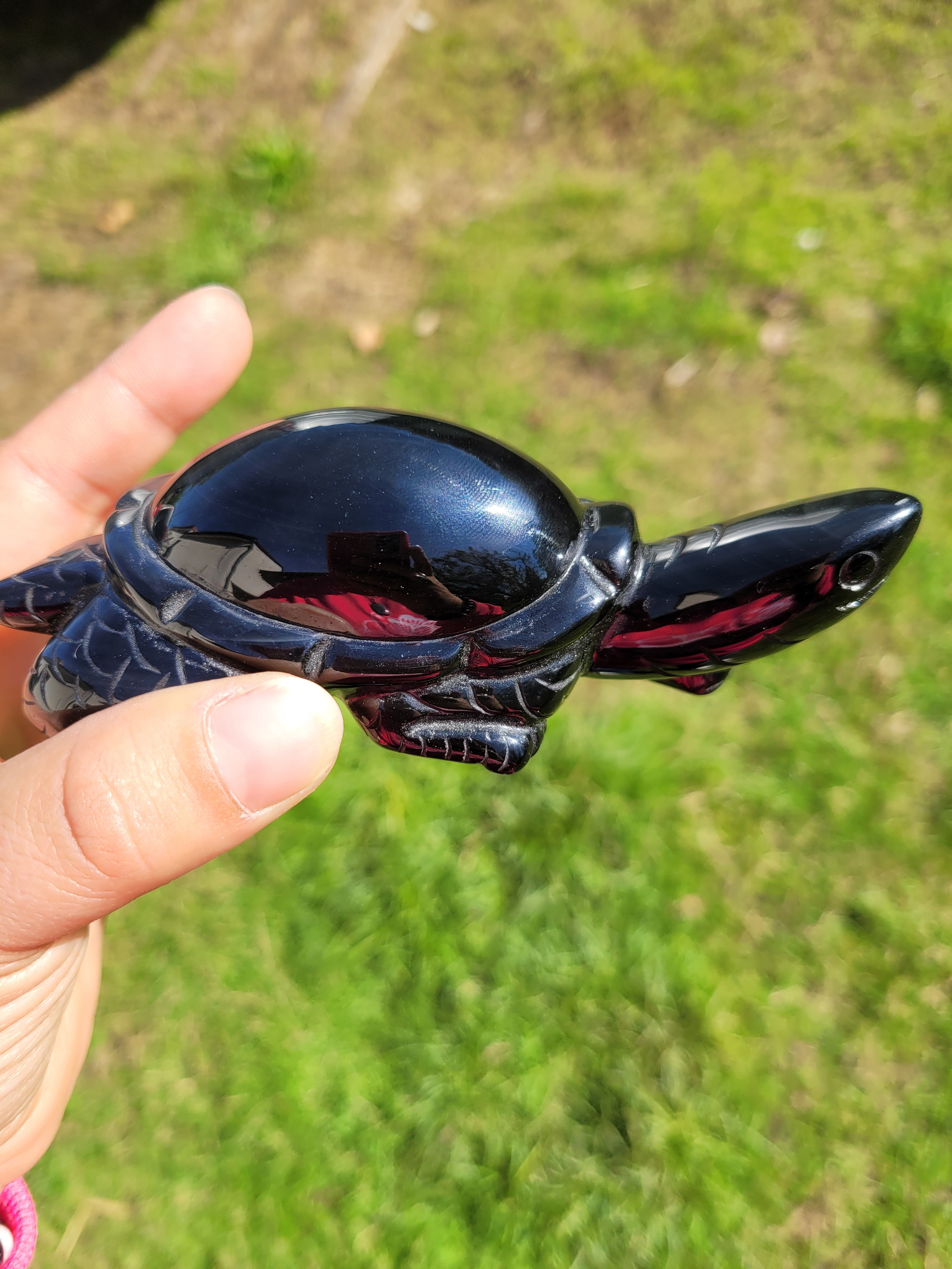 Tortue Obsidienne Œil Céleste