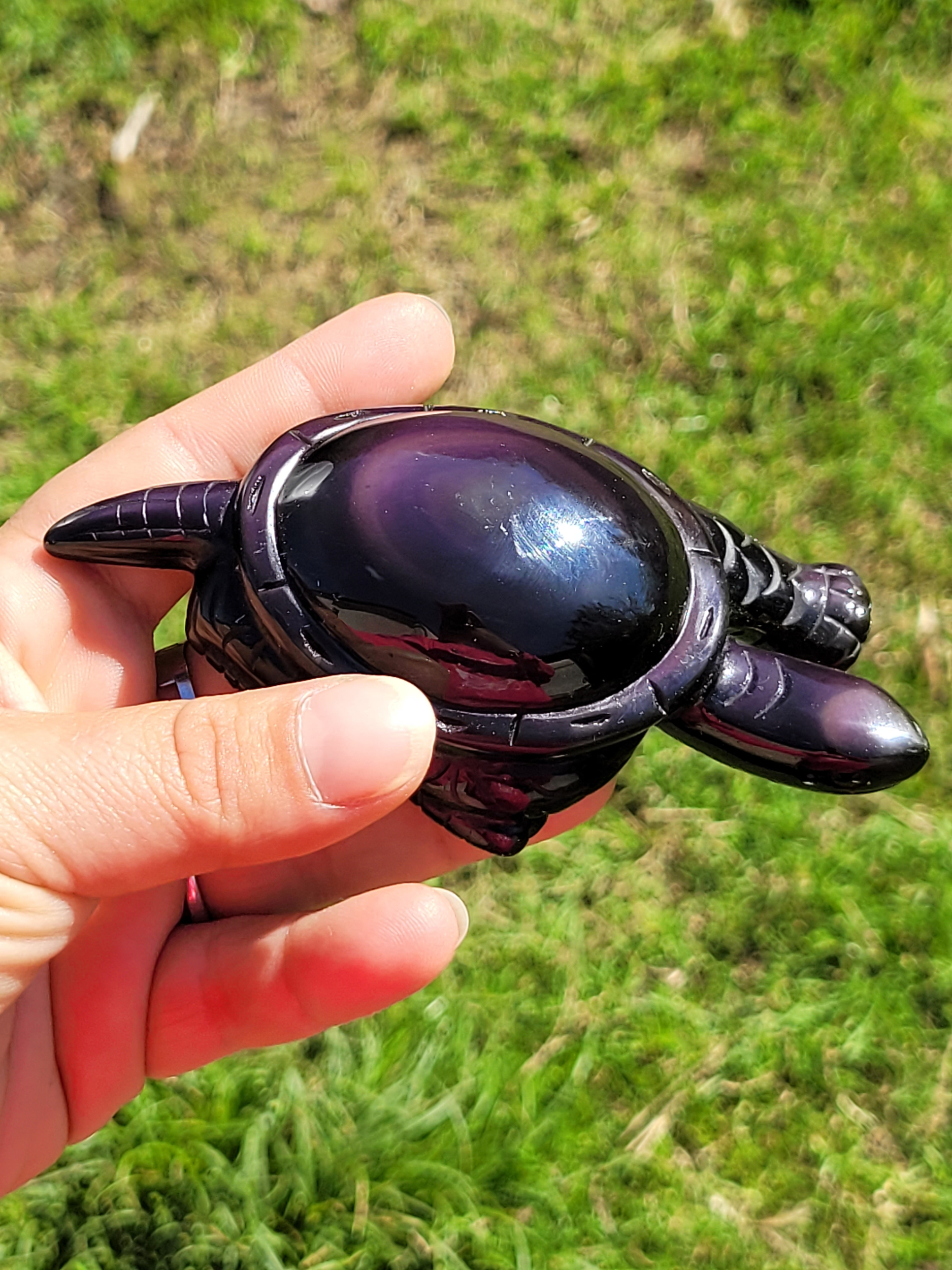 Tortue en Obsidienne Œil Céleste