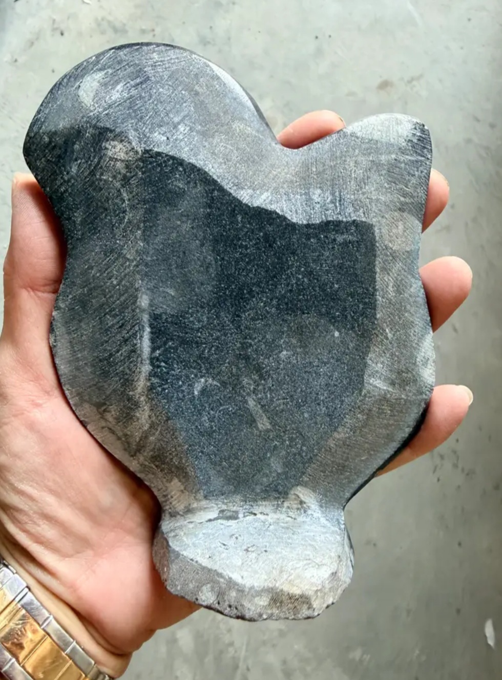 Plaque Fossiles