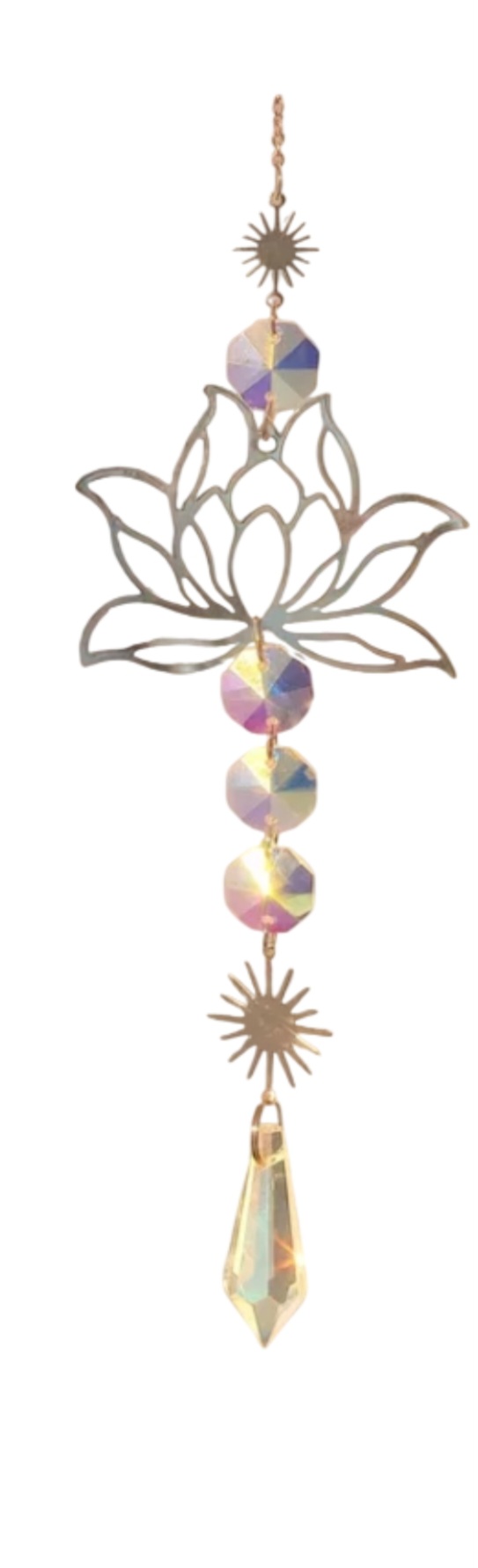 Attrape Soleil Lotus