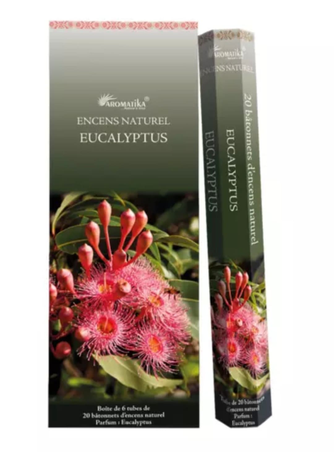 encens eucalyptus massala aromatika