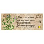 petit oracle de magie